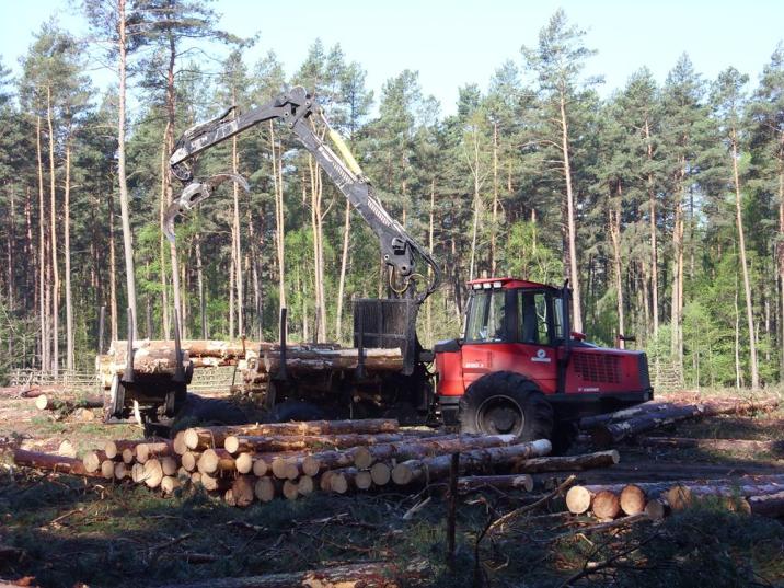 Fot. Przemysław Milewski